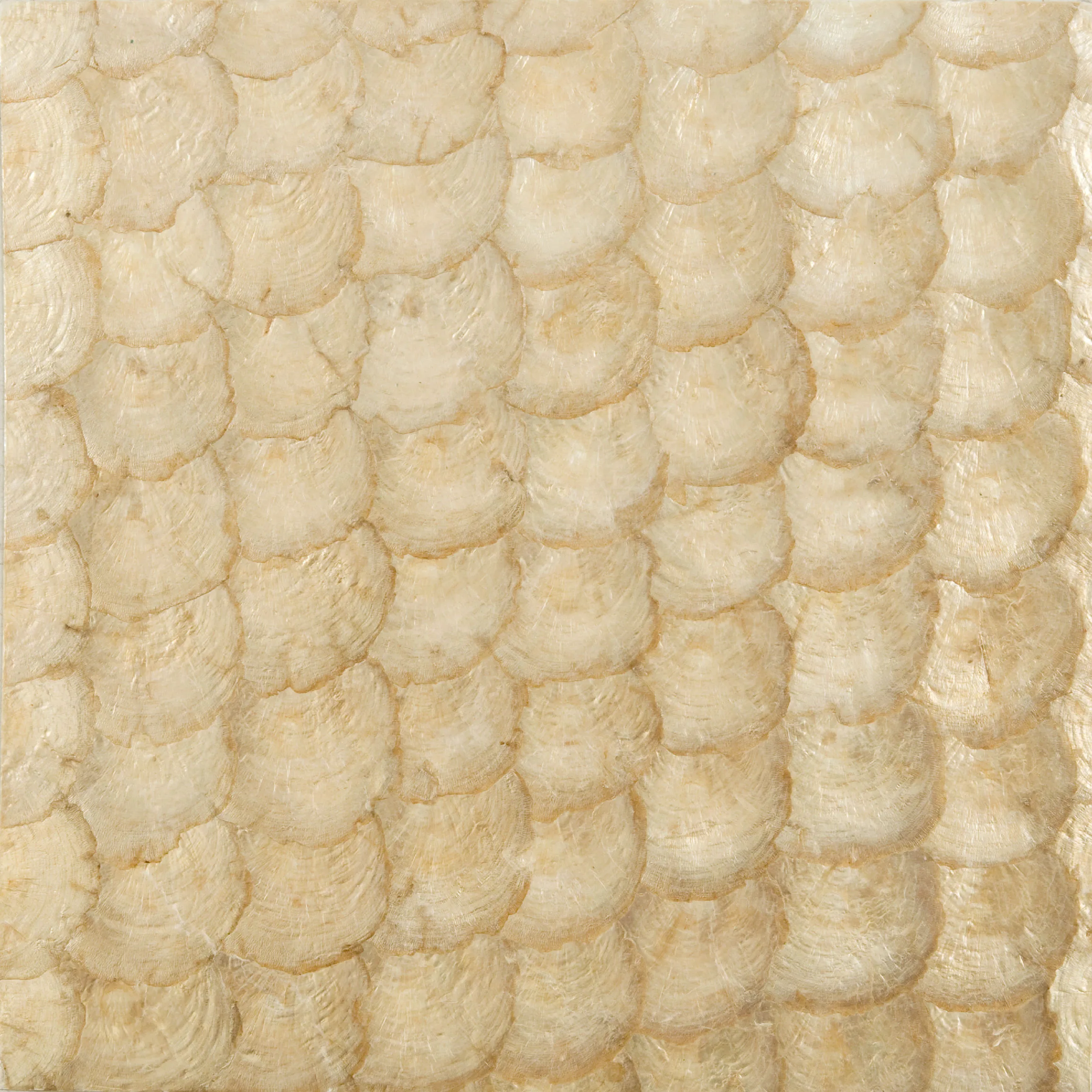 Kravet Couture W3198 in Yellow & Beige (W3198.4.0)