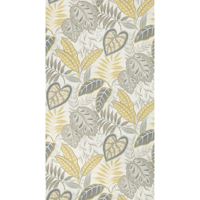 Kravet Design Jasmine in Citrine (W3497.416.0)