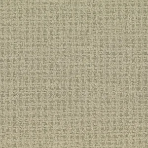 Kravet Design Tappeto in 03 (LZW-30199.03.0)