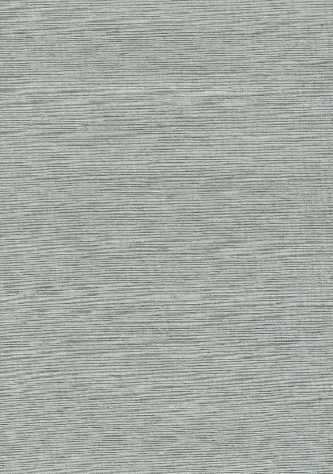 Kravet Design Grasscloth Iii W3036 in Light Blue & Light Blue (W3036.15.0)