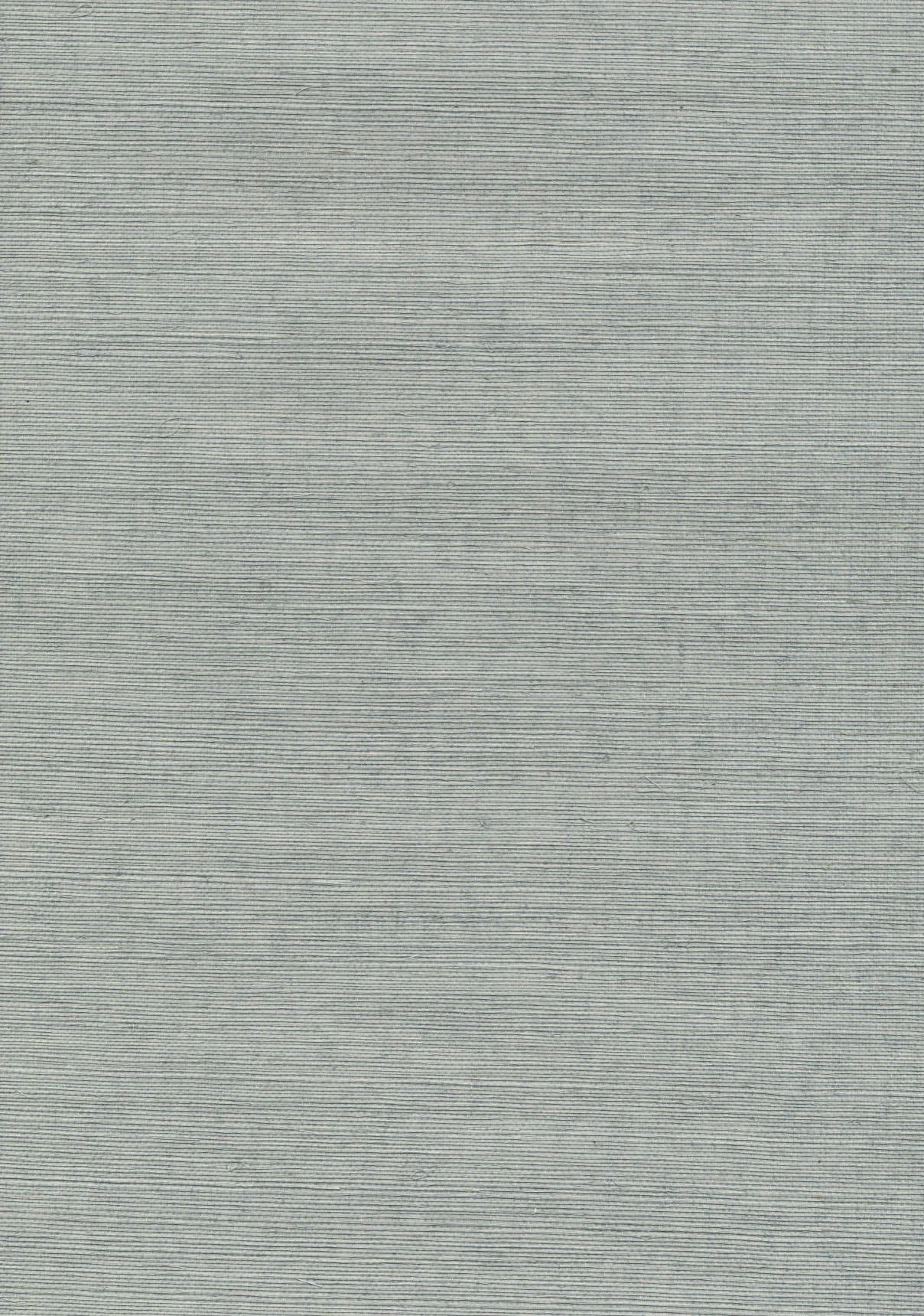 Kravet Design Grasscloth Iii W3036 in Light Blue & Light Blue (W3036.15.0)