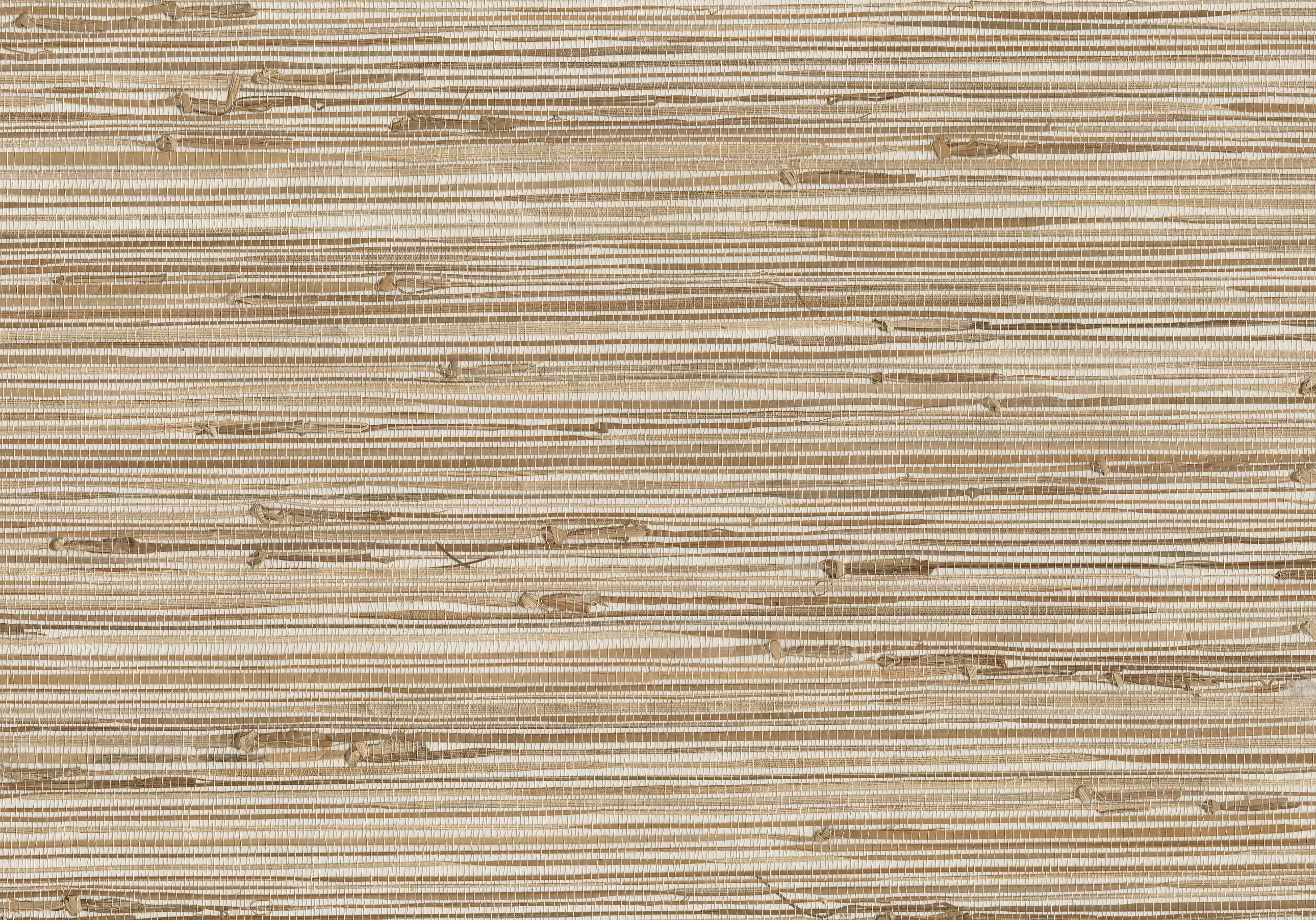 Kravet Design Grasscloth & Textures W3037 in Beige & Beige (W3037.116.0)