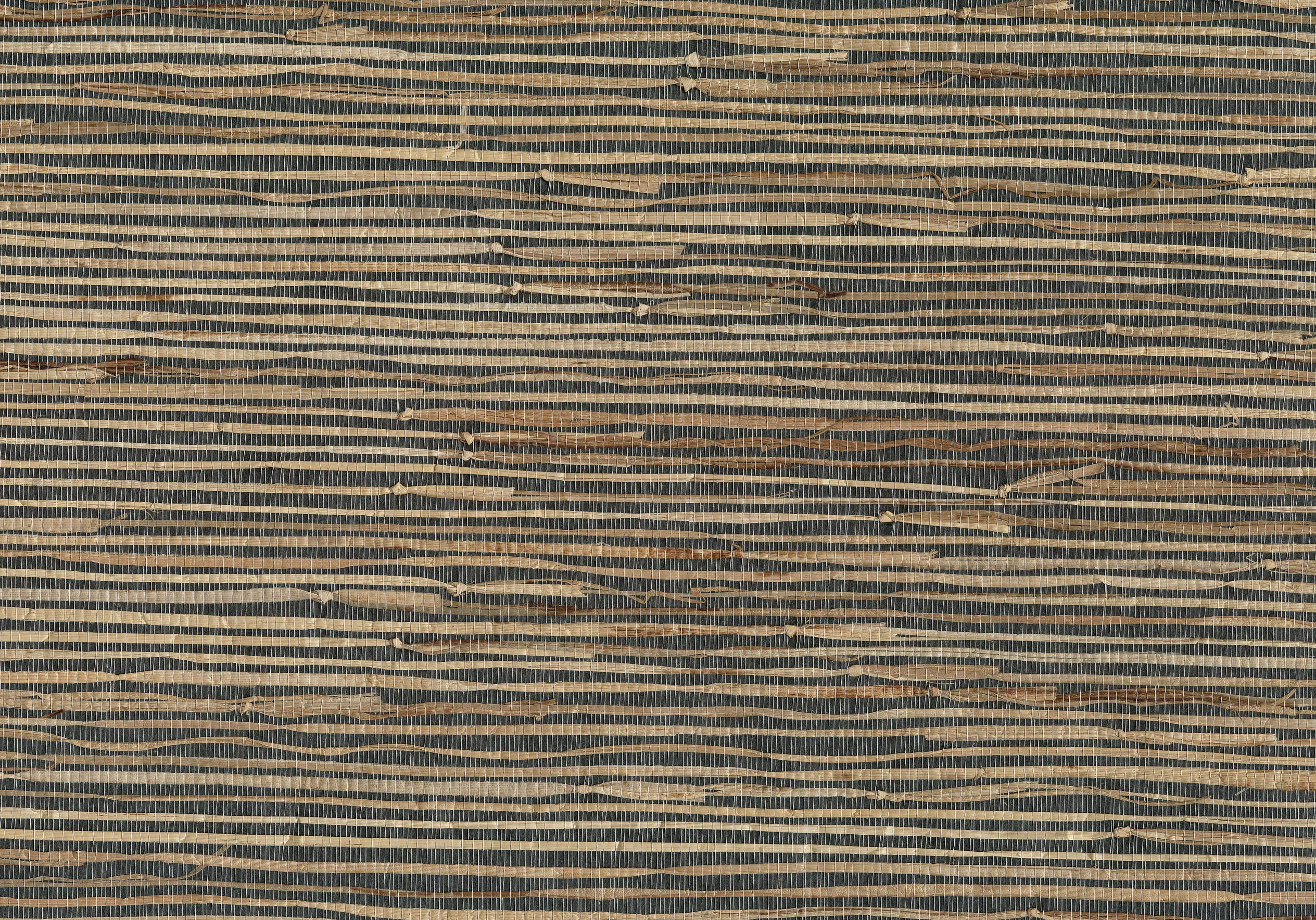 Kravet Design W3037 in Black & Beige (W3037.816.0)