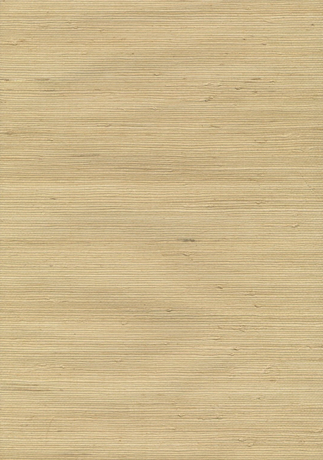 Kravet Design Grasscloth Iii W3038 in Gold & Gold (W3038.404.0)
