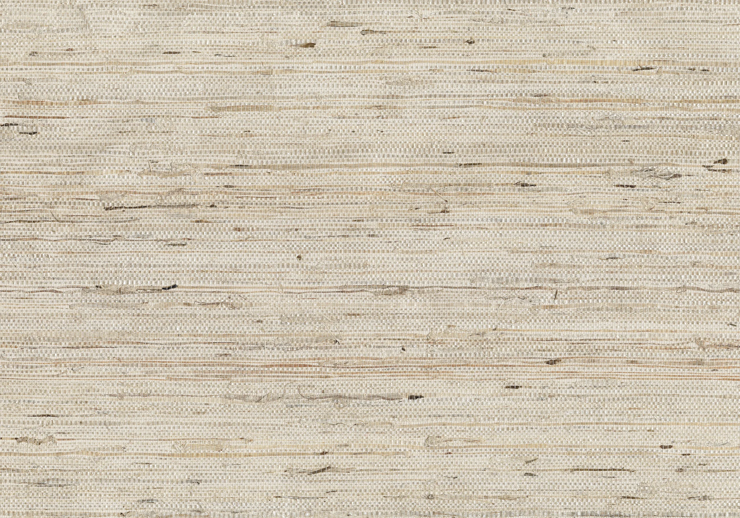 Kravet Design Elements II Naturals W3049 in Beige & Ivory (W3049.16.0)