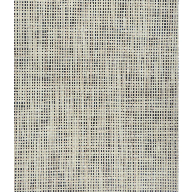 Kravet Design Grasscloth & Textures W3058 in Beige & Beige (W3058.16.0)