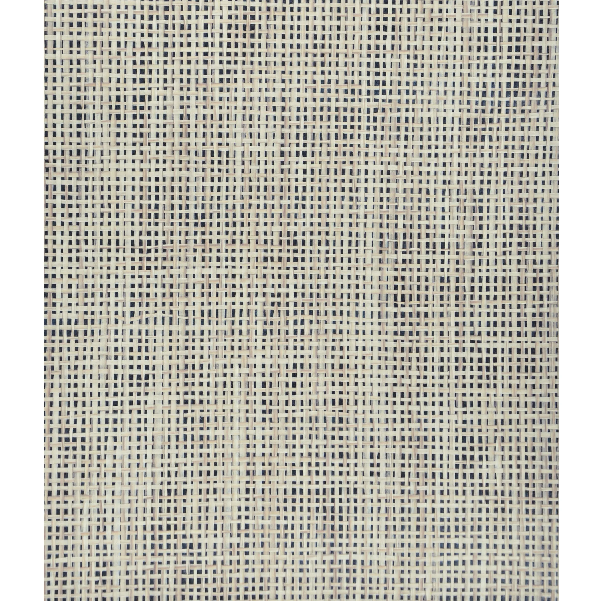 Kravet Design Grasscloth & Textures W3058 in Beige & Beige (W3058.16.0)