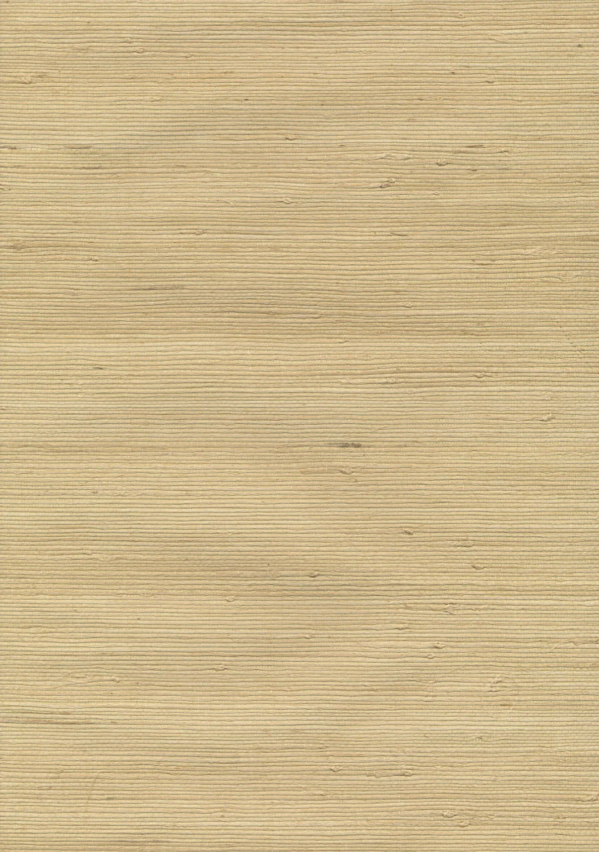 Kravet Design Grasscloth Iii W3107 in Gold & Gold (W3107.404.0)