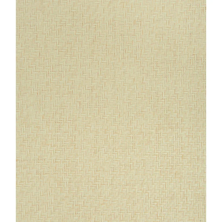 Kravet Design W3226 in Beige & Beige (W3226.16.0)
