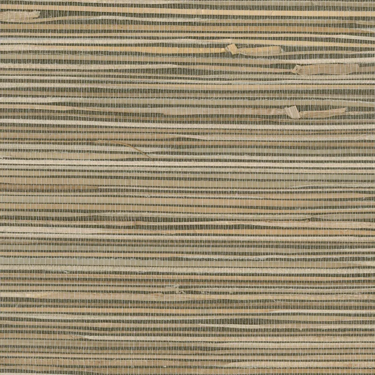 Kravet Design Grasscloth Iii W3277 in Brown & Beige (W3277.616.0)