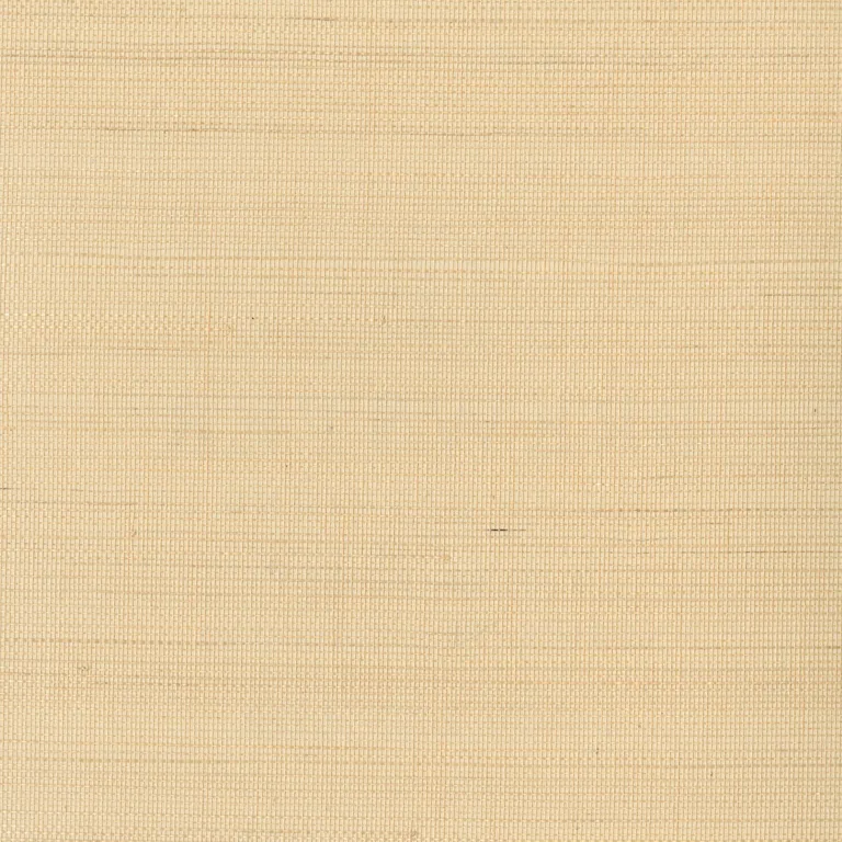 Kravet Design Grasscloth Iii W3291 in Beige & Beige (W3291.16.0)