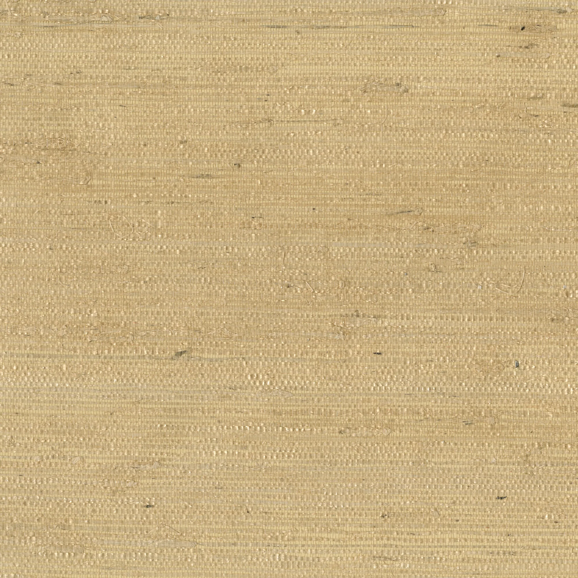Kravet Design W3303 in Light Yellow & Yellow (W3303.14.0)