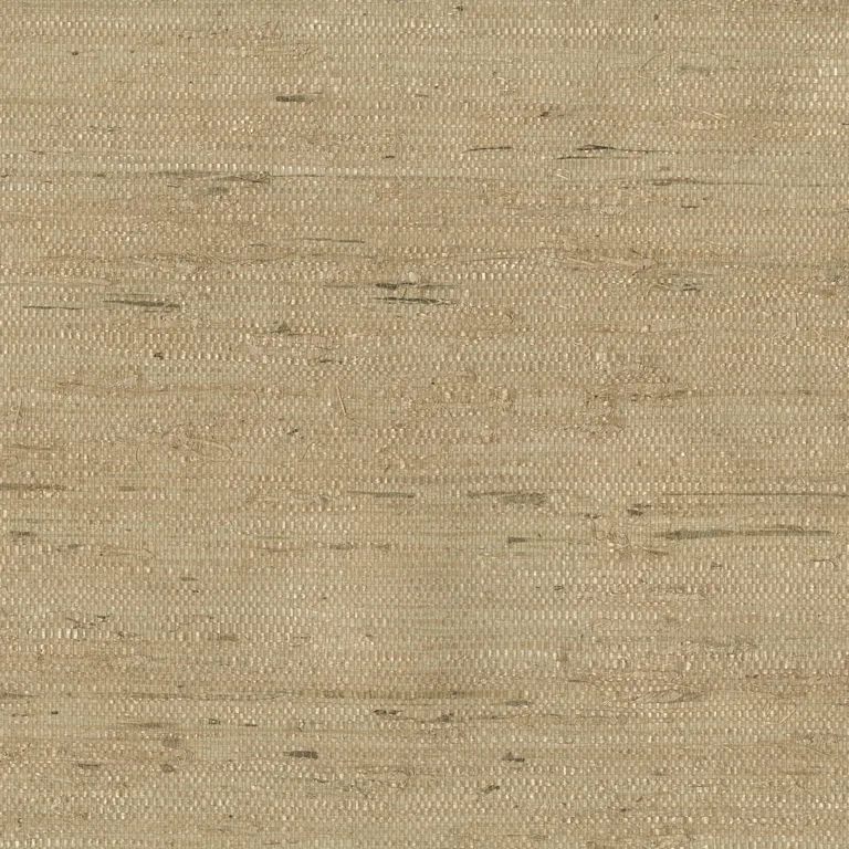 Kravet Design W3303 in Beige & Camel (W3303.16.0)