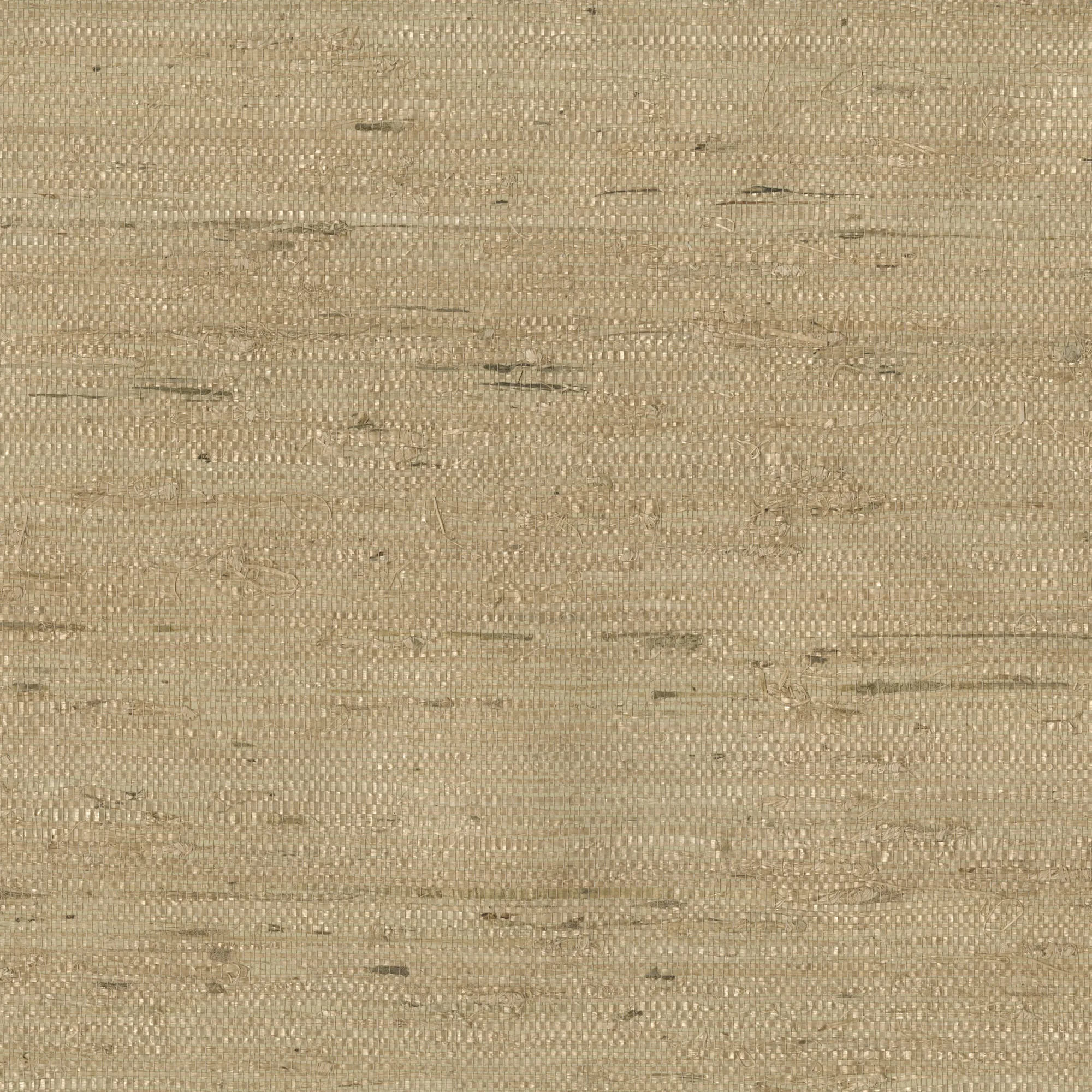 Kravet Design W3303 in Beige & Camel (W3303.16.0)