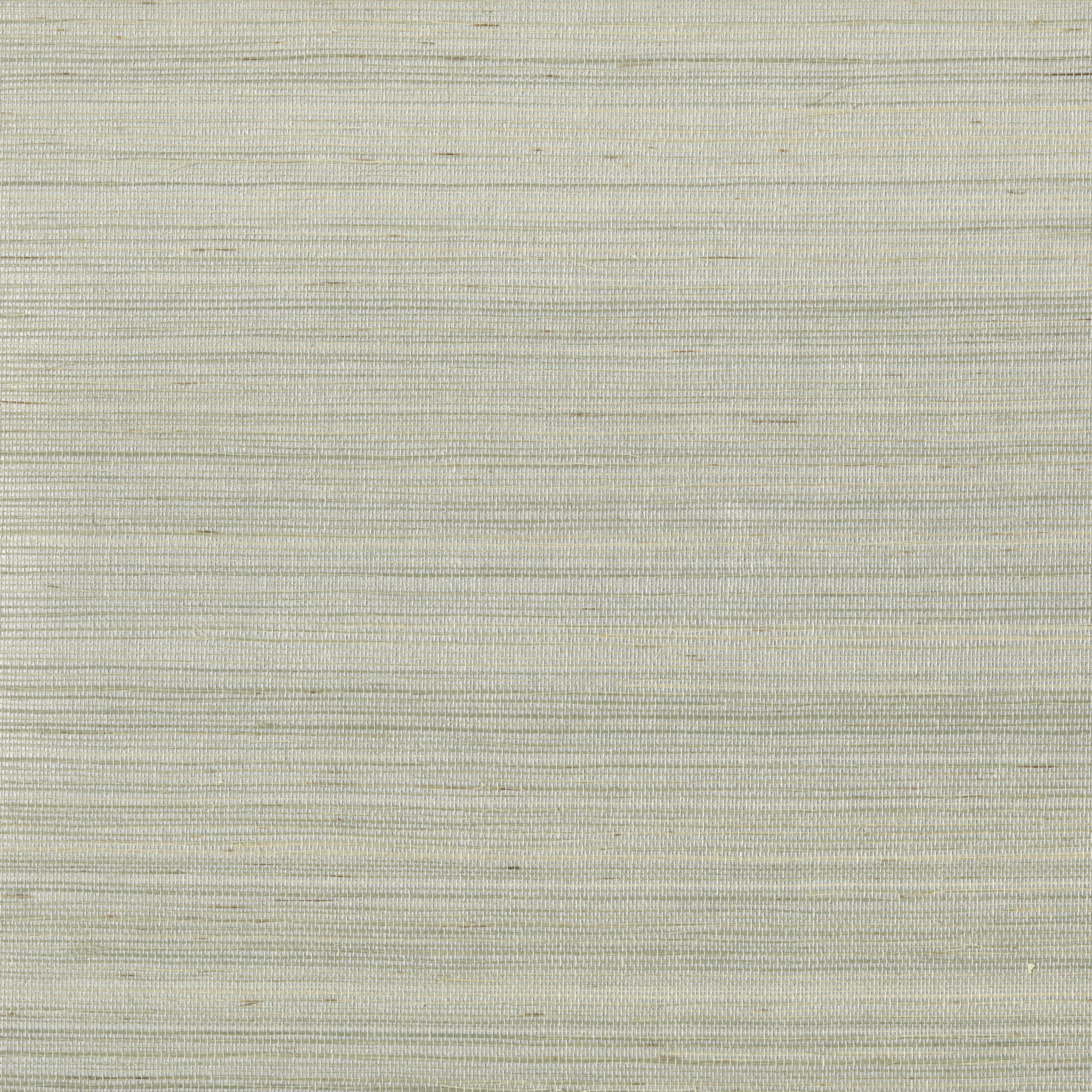 Kravet Design W3310 in Silver & Metallic (W3310.11.0)