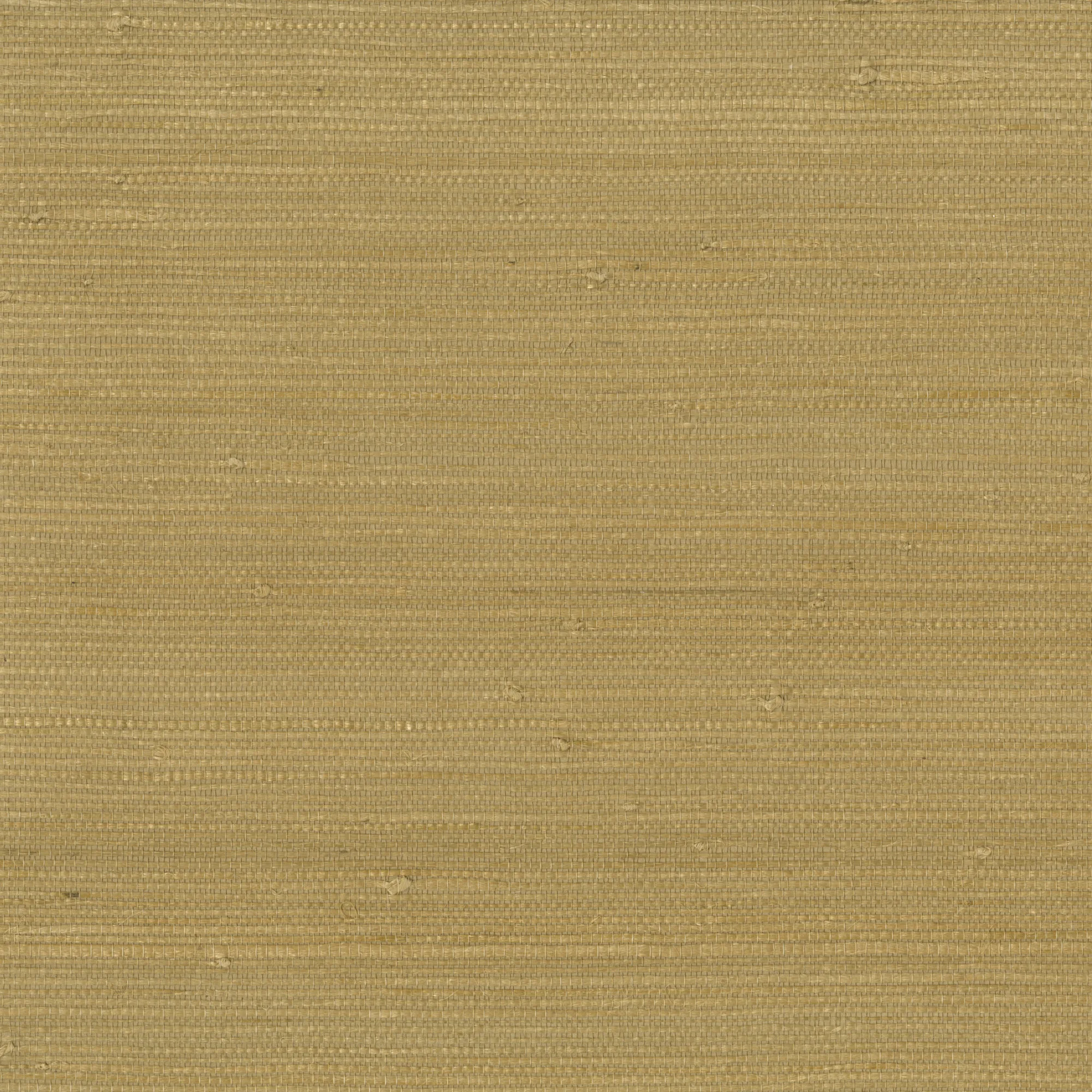 Kravet Design W3312 in Gold & Yellow (W3312.4.0)