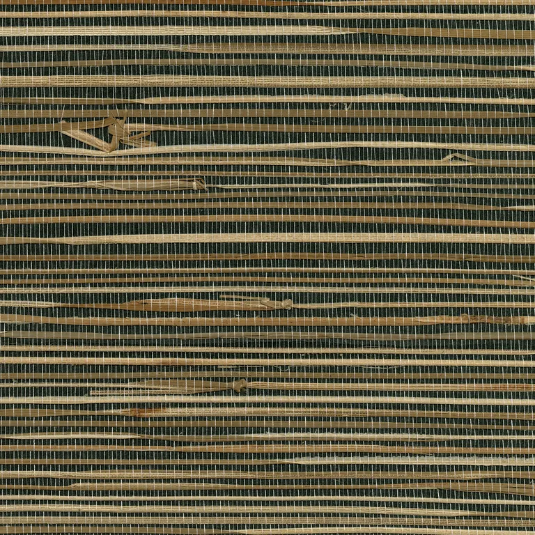 Kravet Design W3436 in Beige & Charcoal (W3436.621.0)