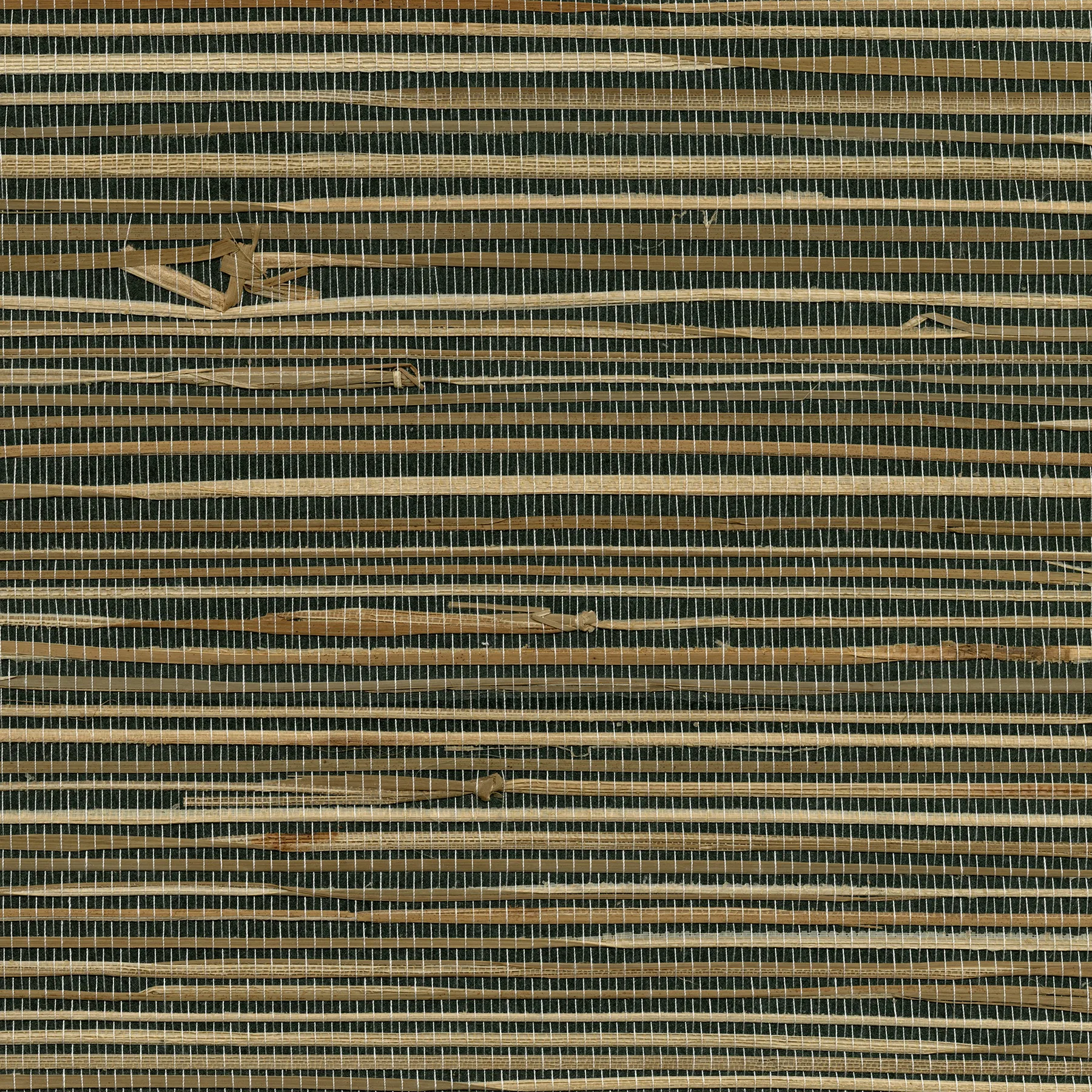 Kravet Design W3436 in Beige & Charcoal (W3436.621.0)