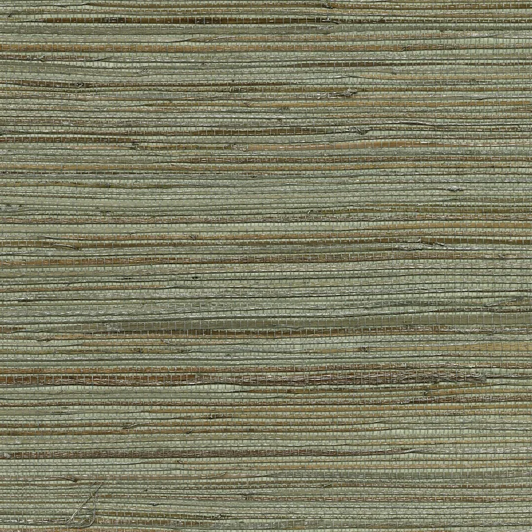 Kravet Design W3438 in Silver & Metallic (W3438.1611.0)