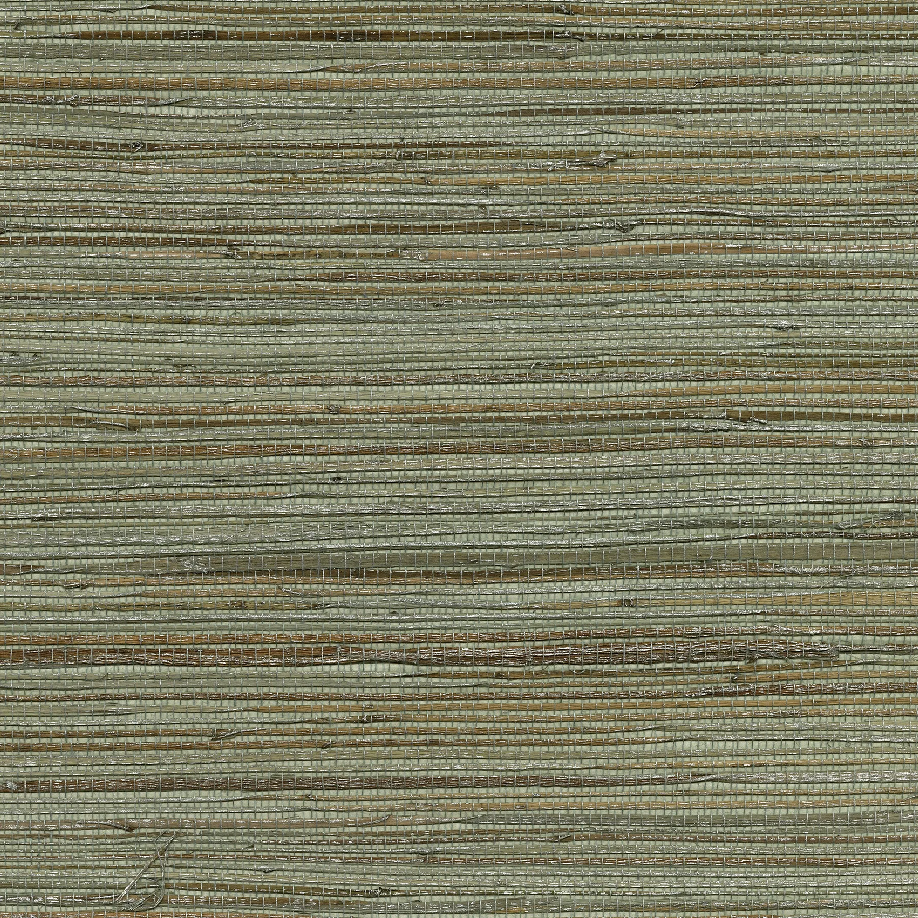 Kravet Design W3438 in Silver & Metallic (W3438.1611.0)
