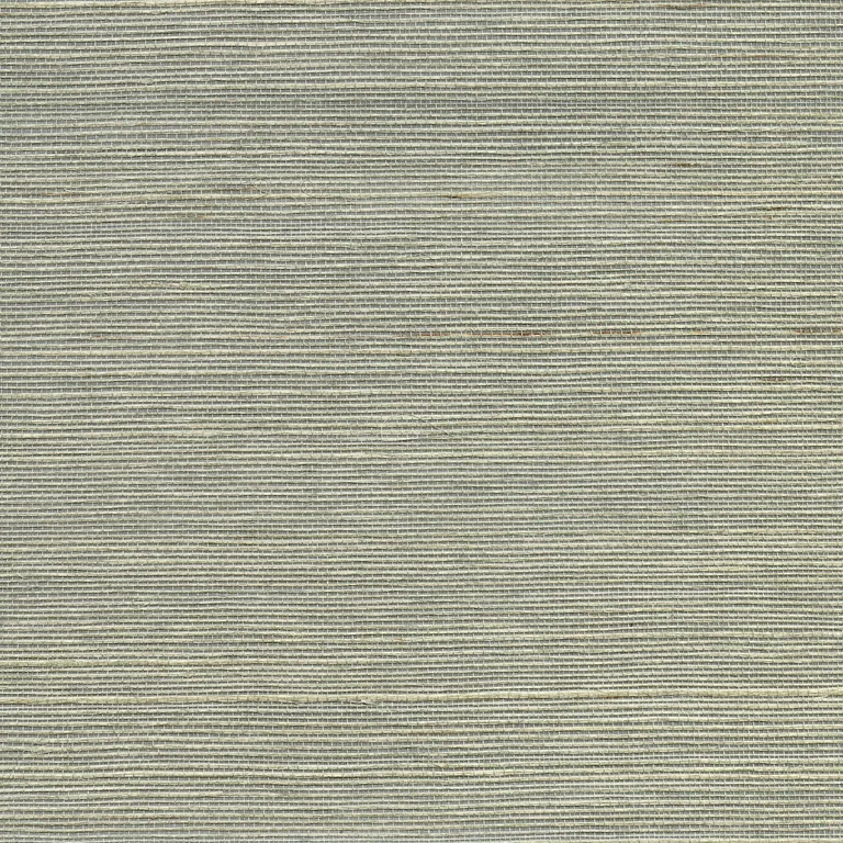 Kravet Design W3453 in Light Grey & Silver (W3453.11.0)