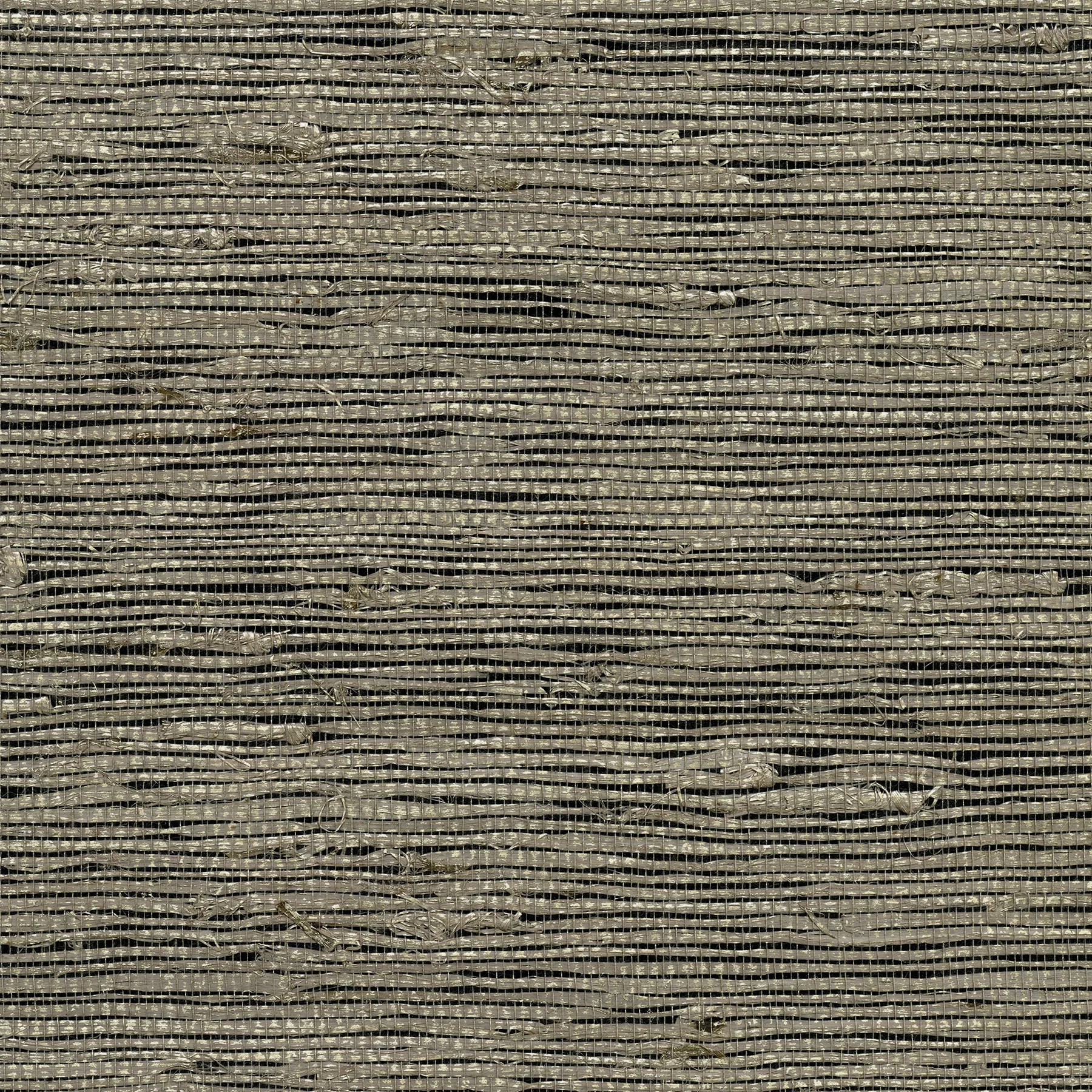 Kravet Design W3455 in Beige & Black (W3455.816.0)