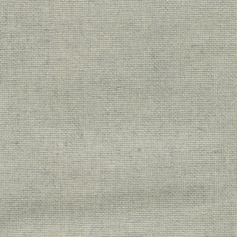 Kravet Design W3456 in Silver & Metallic (W3456.11.0)
