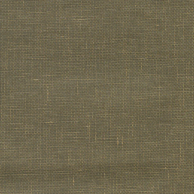 Kravet Design W3458 in Taupe & Gold (W3458.106.0)
