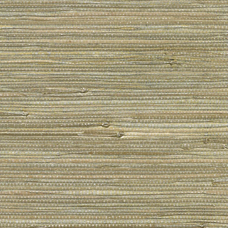 Kravet Design W3459 in Silver & Metallic (W3459.1611.0)