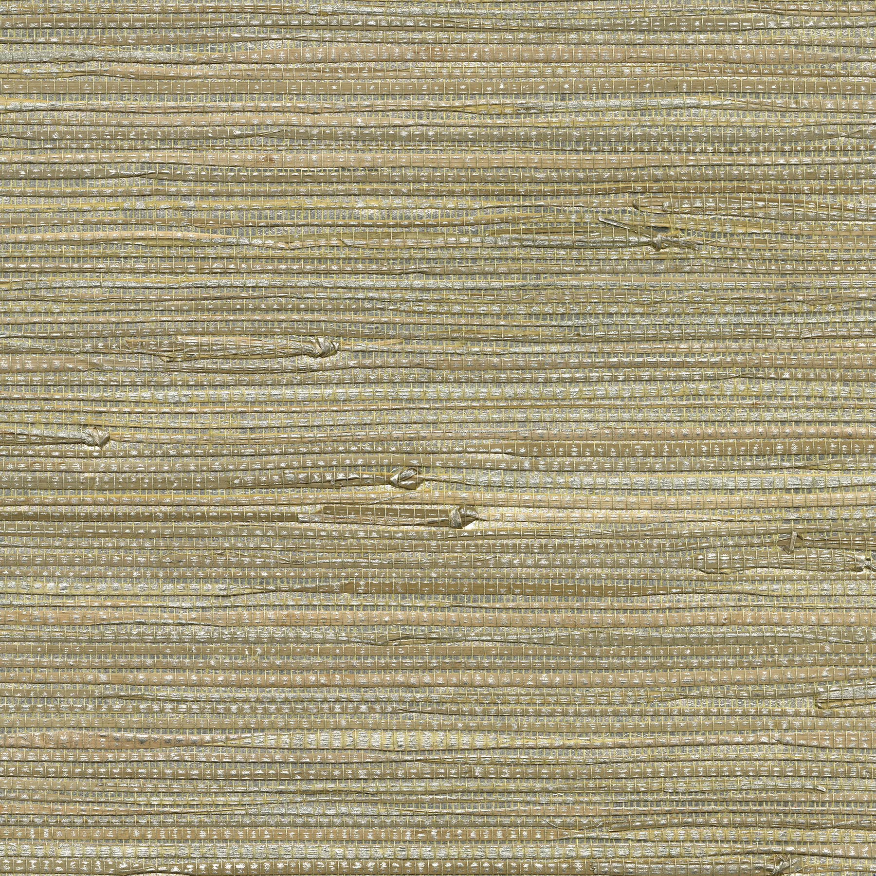 Kravet Design W3459 in Silver & Metallic (W3459.1611.0)