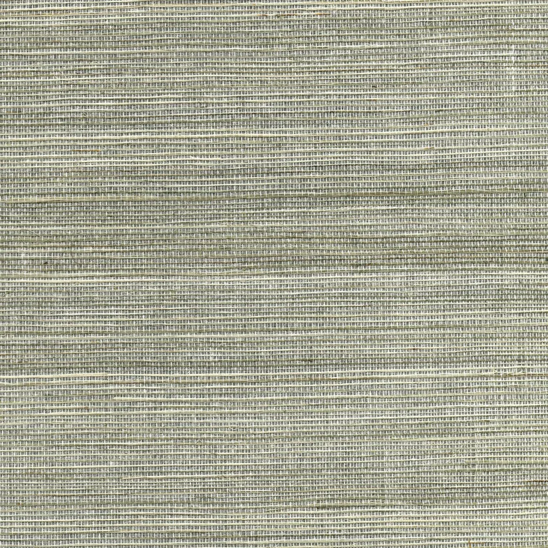 Kravet Design W3460 in Silver & Metallic (W3460.11.0)