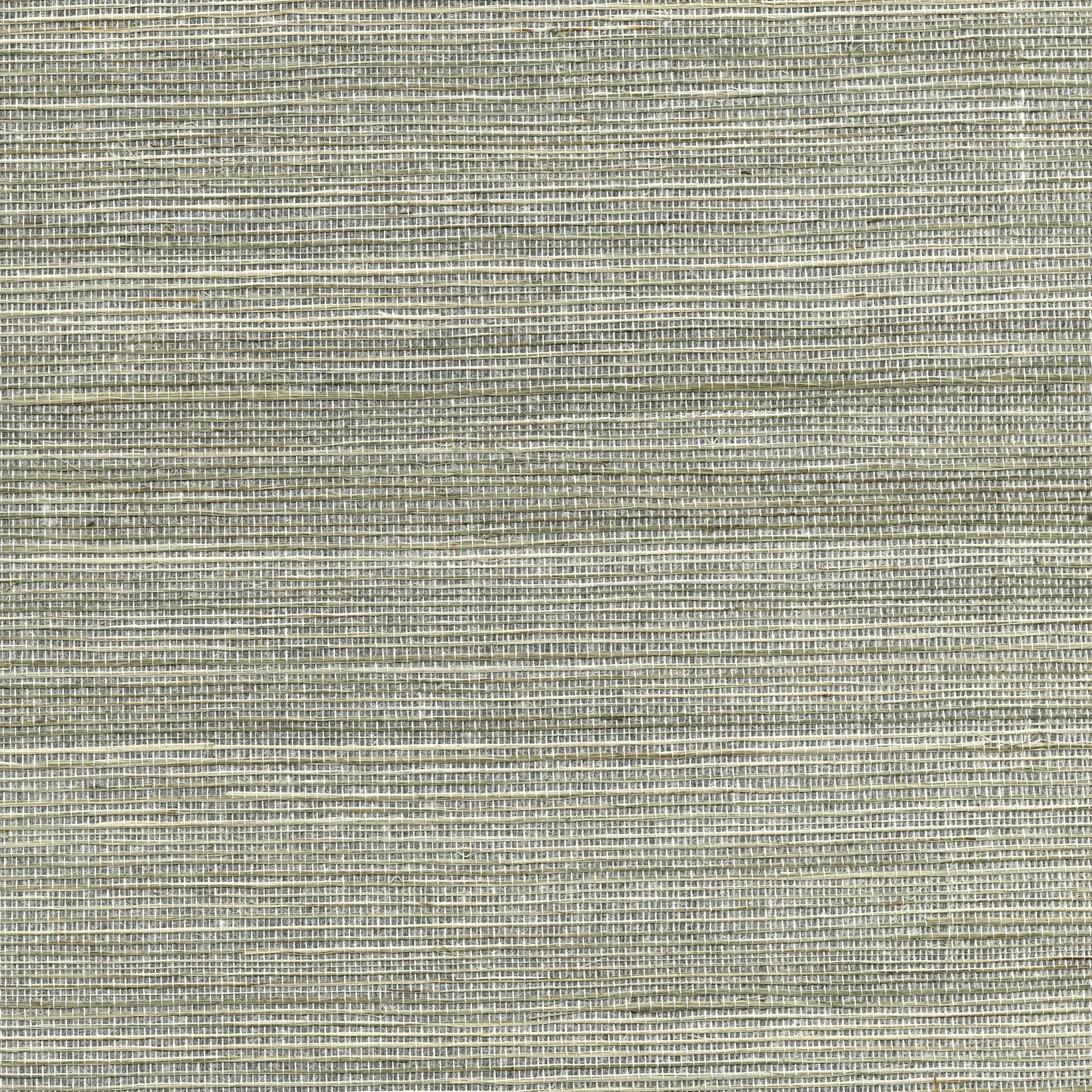 Kravet Design W3460 in Silver & Metallic (W3460.11.0)