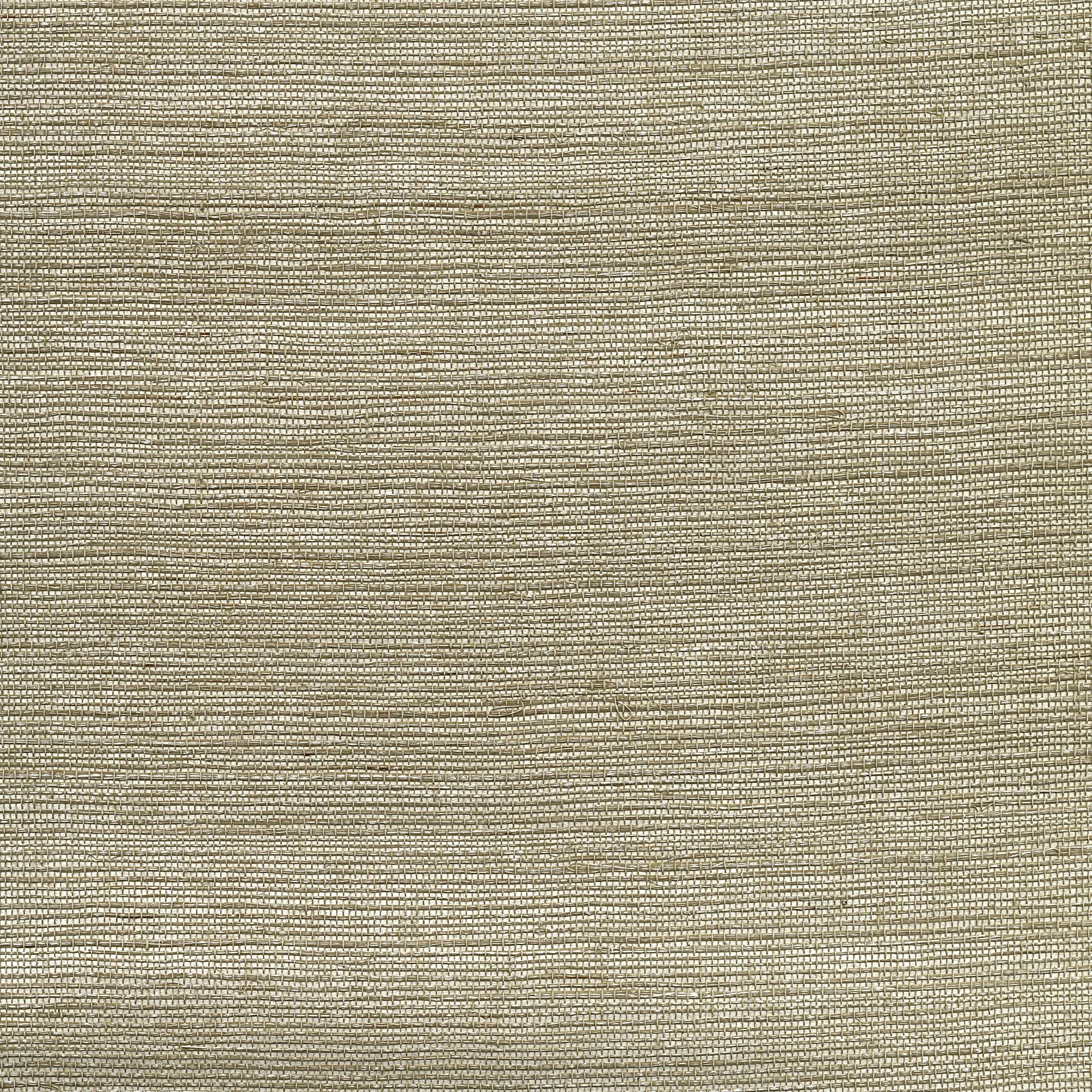 Kravet Design Elements II Naturals W3462 in Light Grey & Silver (W3462.1611.0)