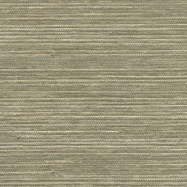 Kravet Design Grasscloth & Textures W3464 in Beige & Silver (W3464.1611.0)