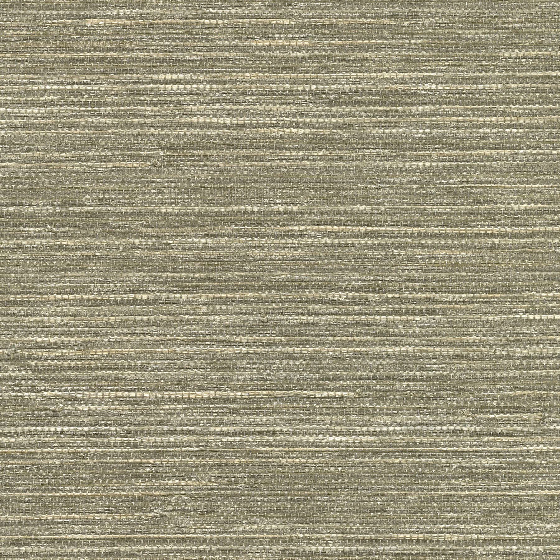Kravet Design Grasscloth & Textures W3464 in Beige & Silver (W3464.1611.0)