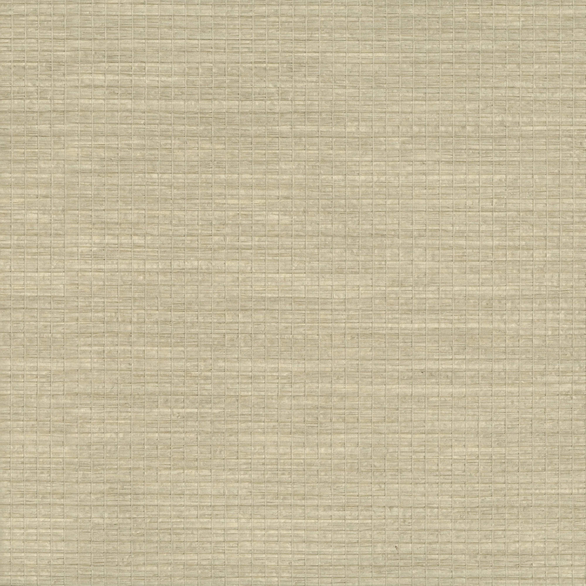 Kravet Design W3553 in Beige & Beige (W3553.116.0)