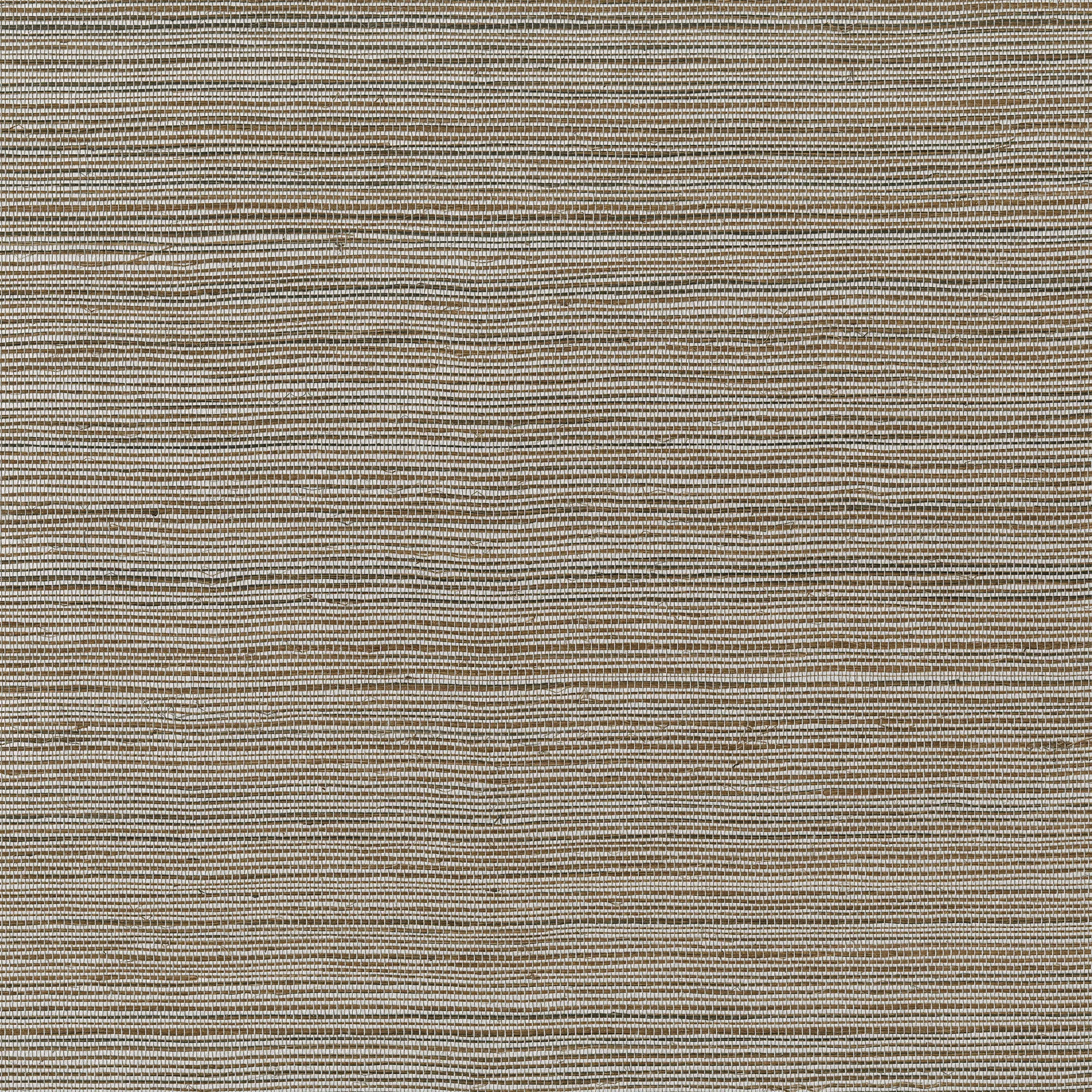 Kravet Design W3560 in Metallic & Beige (W3560.1611.0)