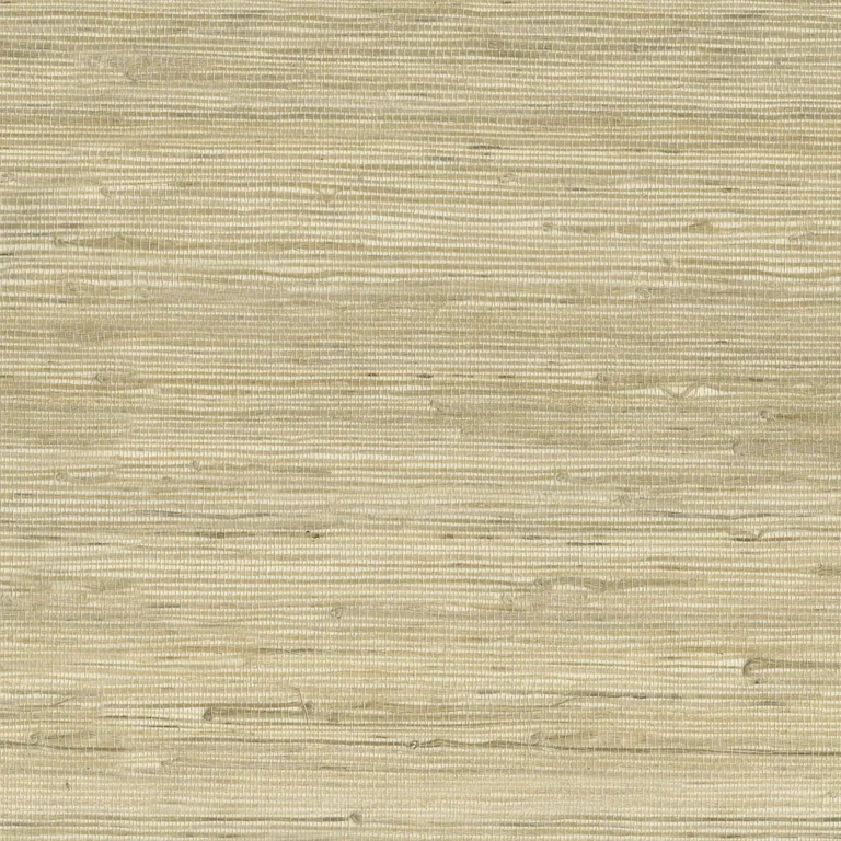 Kravet Design W3566 in Beige & Beige (W3566.16.0)