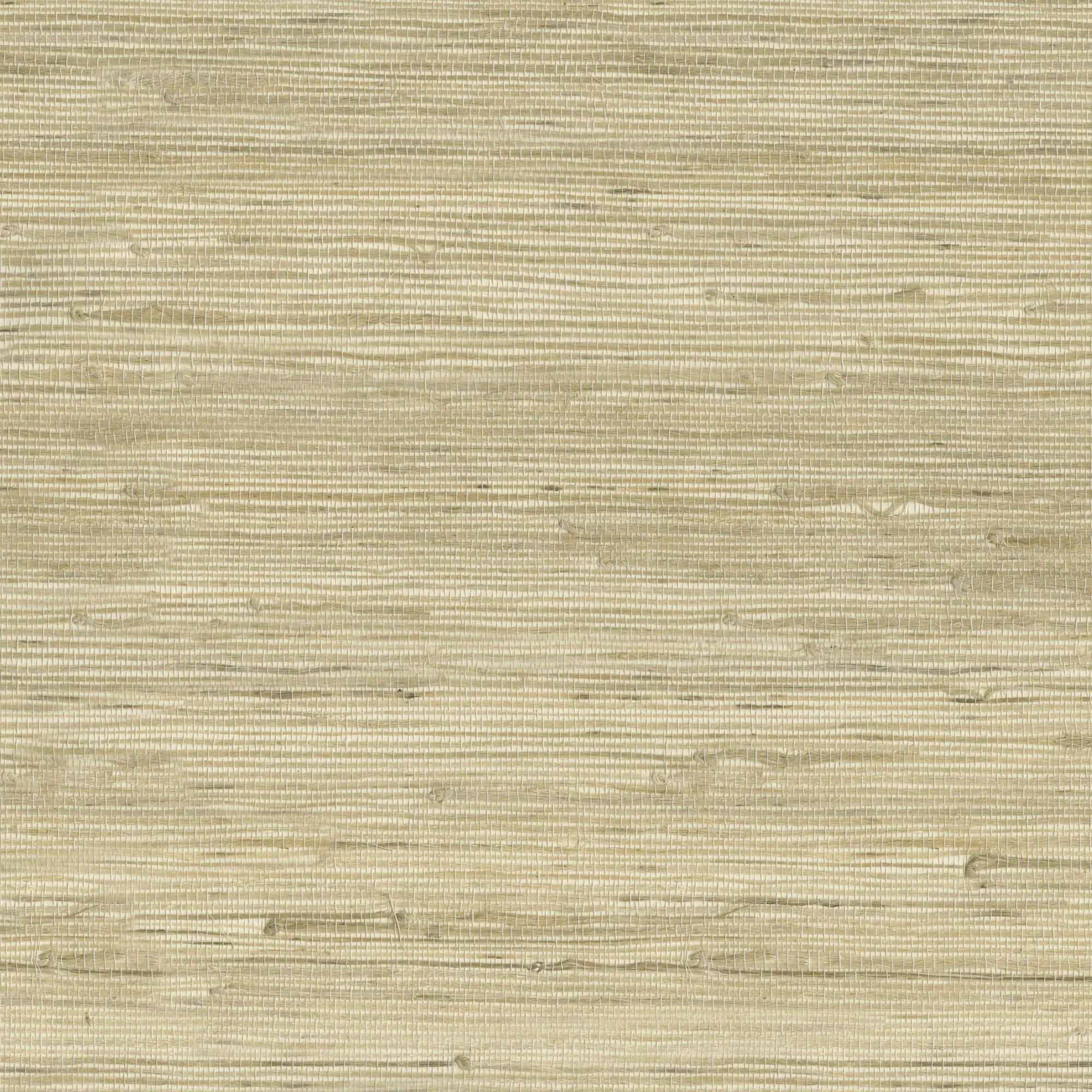 Kravet Design W3566 in Beige & Beige (W3566.16.0)