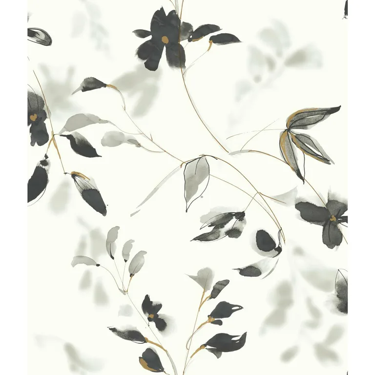 Kravet Design Candice Olson Collection W3587 in Ivory & Black (W3587.81.0)