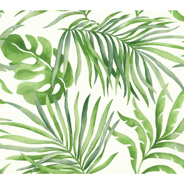 Kravet Design Candice Olson Collection W3593 in White & Green (W3593.3.0)
