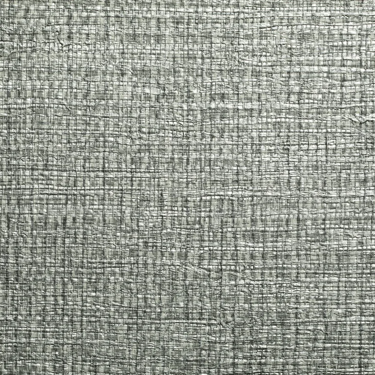 Kravet Design W3636 in Silver & Grey (W3636.11.0)