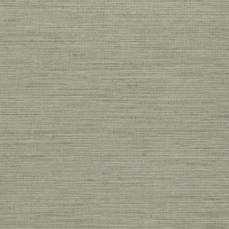 Kravet Design W3639 in Neutral & Taupe (W3639.411.0)
