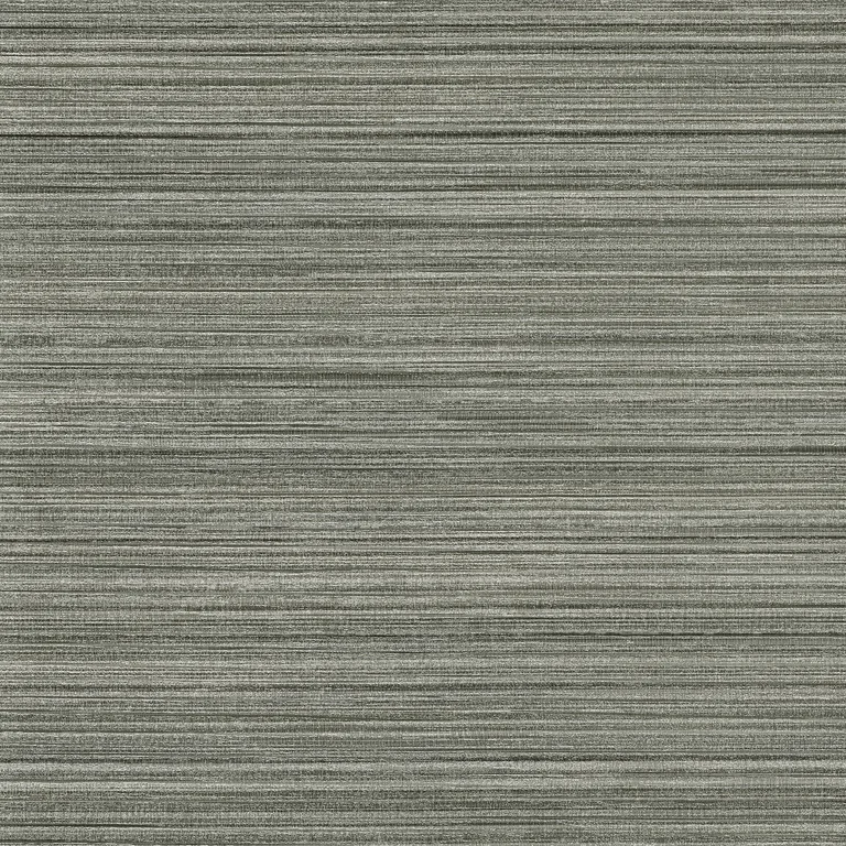 Kravet Design W3651 in Grey & Silver (W3651.21.0)