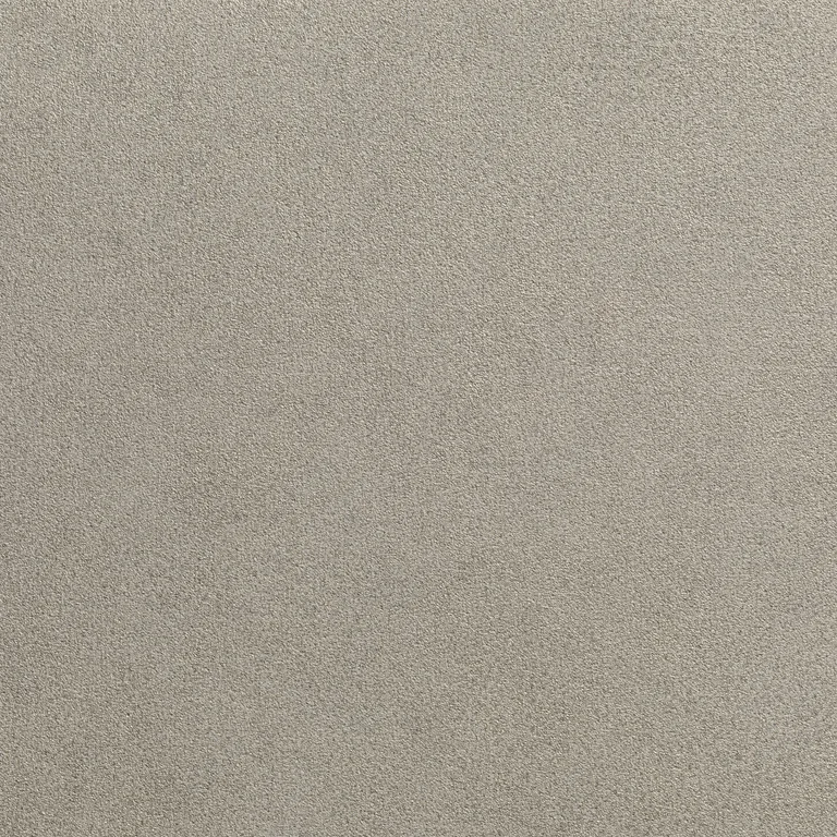 Kravet Design W3677 in Taupe & Neutral (W3677.106.0)