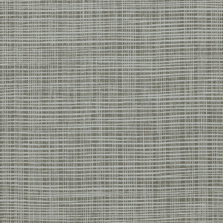 Kravet Design W3684 in Taupe & Taupe (W3684.106.0)