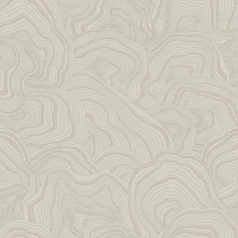 Kravet Design Ronald Redding W3719 in Taupe & Ivory (W3719.106.0)