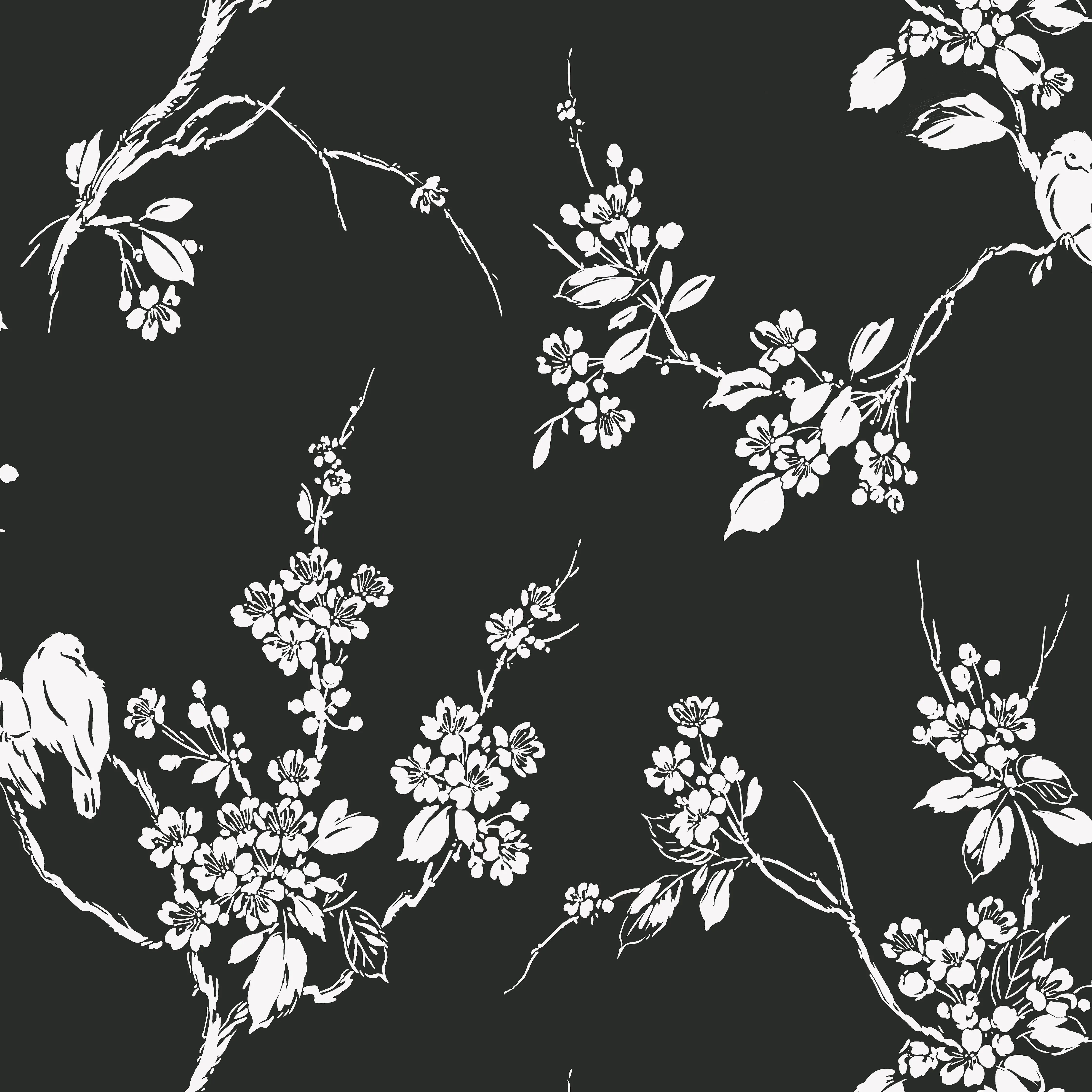 Kravet Design W3773 in Black & White (W3773.8.0)