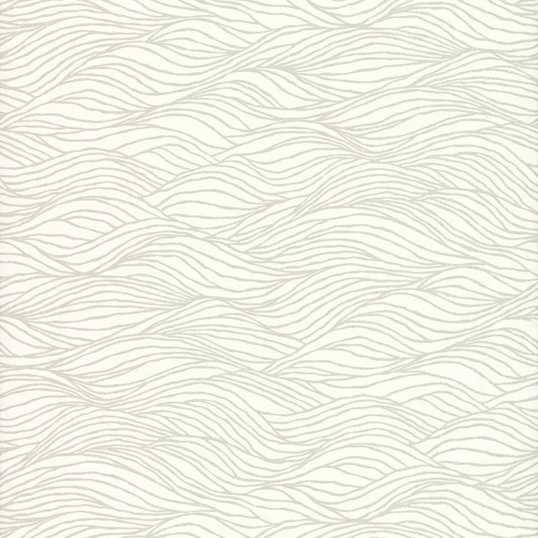 Kravet Design Candice Olson Collection W3793 in White & Silver (W3793.101.0)