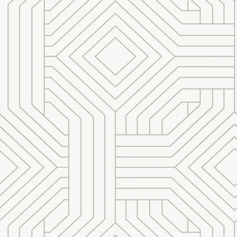 Kravet Design Candice Olson Collection W3798 in White & Silver (W3798.101.0)